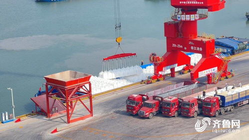 借力運河優勢，齊魯糧油媒體行聚焦江北現代糧食物流園——打造“北糧南運”高效大通道